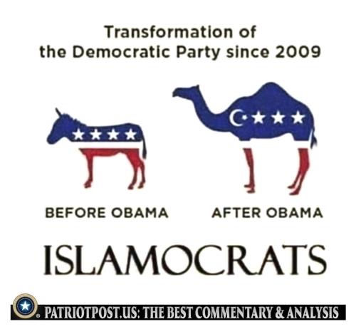 Screenshot_20260421_202850_DuckDuckGo