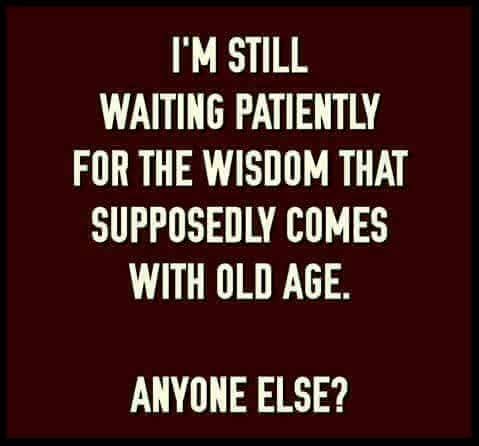 FB_IMG_1775333572789