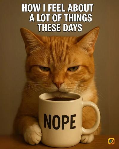 eb6c9808256887bb3333db057357c67f