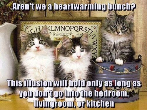 420f0252fed518cff088f17184576bdd