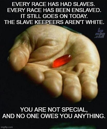 _main-qimg-d6b070062787b8c80a950adcac0a6360