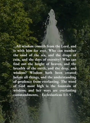 Screenshot_20260408-165122-380