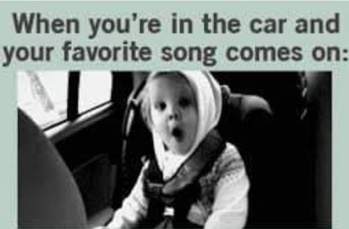 Screenshot_20260429_083311_Gallery