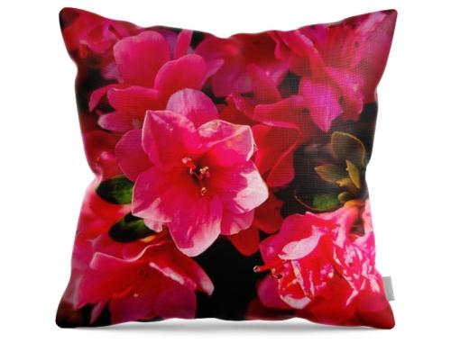 Screenshot_20260403_141153_Brave