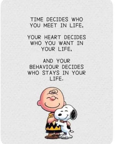 TESTHUB_photos_users_vBfgYZUlSlYKpnqGrAxNXKQPeRh1_vT4PVY=3^O),ZI9CsVXu_img_rsz__1100x1100