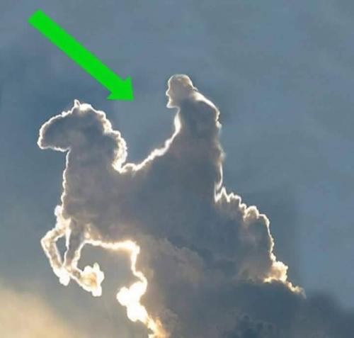 130678132_4138773266138672_2446908389258607678_n