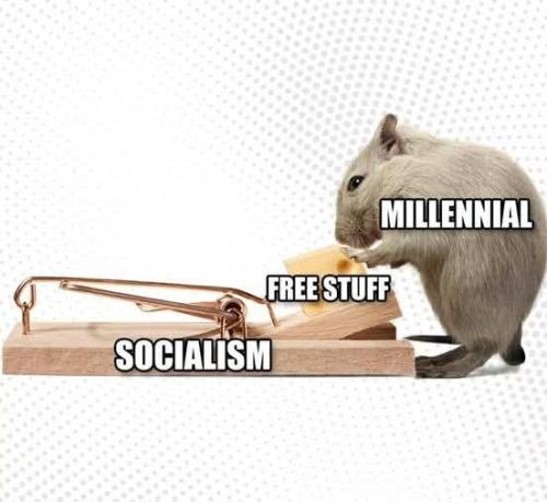 FB_IMG_1776910417175