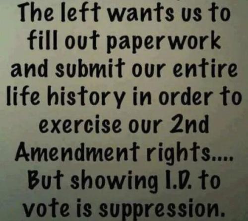 give-history-gun-id-voting-suppression