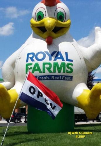 Screenshot_20260423_115009_Gallery