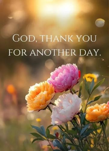 17755549837572293989217800166715_1293165957936430