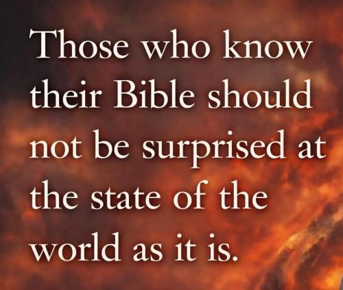 0b3ff660-8c2f-44fb-9237-4620c2b74046