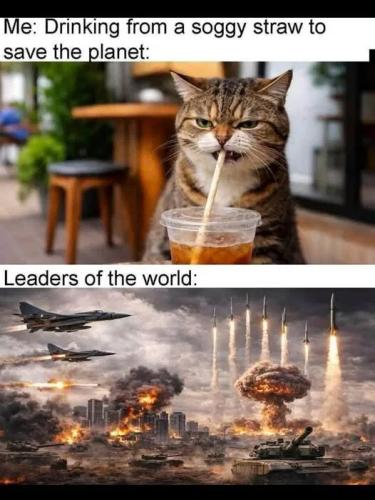 88cd5e0871ad0f4b0a4d7163379e4471