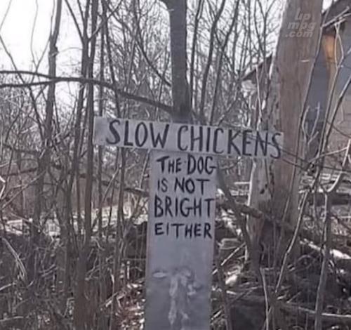 main-qimg-a71d39f8c2c8ce52baec51ea44f742e0