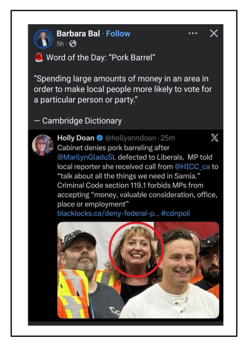 pork barrel