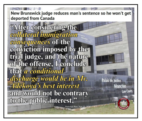 new Brunswick judge