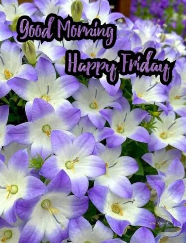 2a3c9c4220a1b06bf75f208f0fc73ade