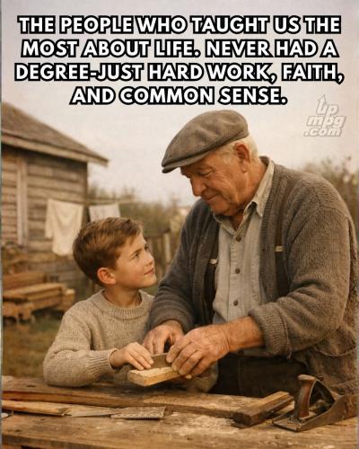 _main-qimg-b2506c695e4b4ff18455952f185dff93