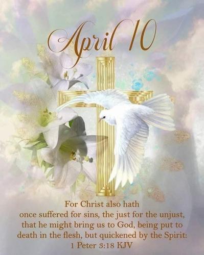 FB_IMG_1775830789203