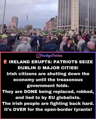 bba692ee-f107-4845-8b93-3548d920b490