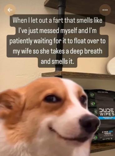 fart-smells-like-messed-myself