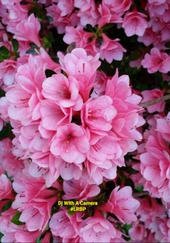 Screenshot_20260426_070326_Gallery