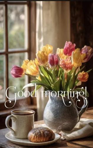 Resized_442cfe77b15735c05eda47cd6a0c24ec