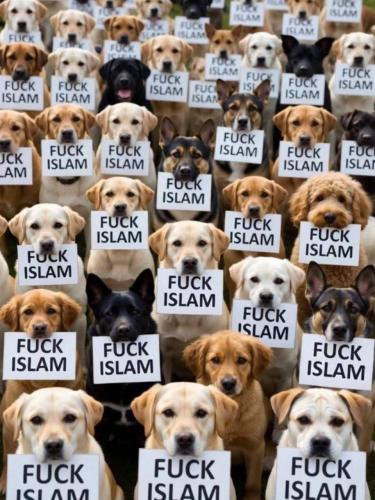 IMG_20260407_152414_904