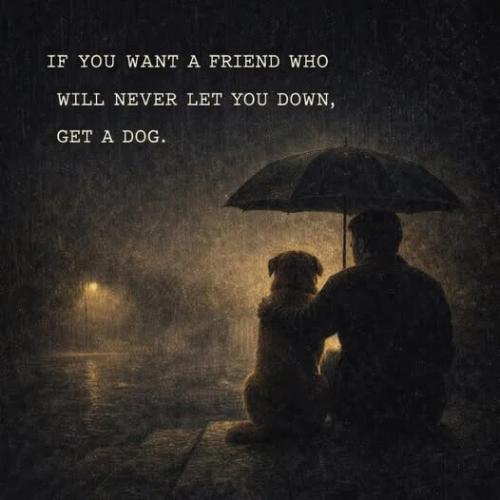 friend-never-let-you-down