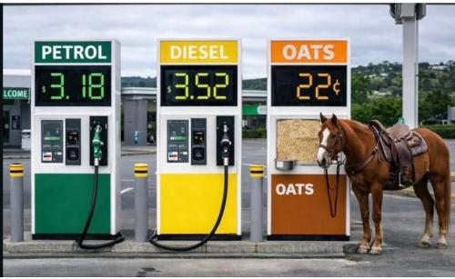 658086063_3940511262912710_5745033294611280543_n