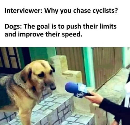 why-chase-cyclists