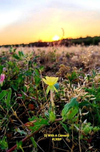 Screenshot_20260427_185050_Gallery