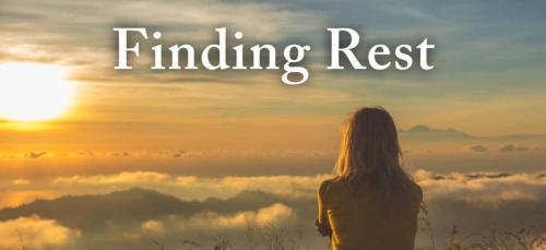 f28527c4-e018-4489-ba15-c211838aa9e5