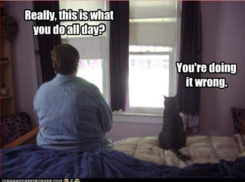 Screenshot_20260401_134134_Gallery