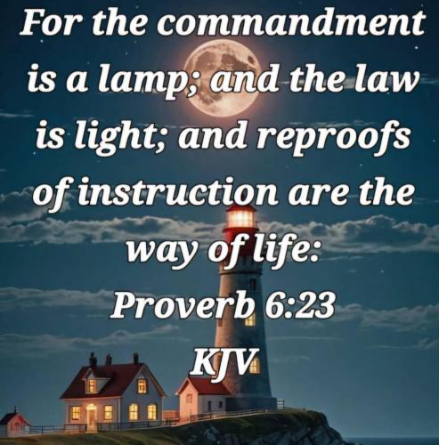 cf3fd137-fd47-431d-b580-d039ef023a9f