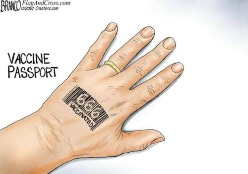 167141729_3890139257675332_4815956528412976488_n