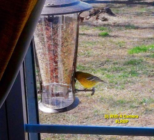 Screenshot_20260412_080249_Gallery