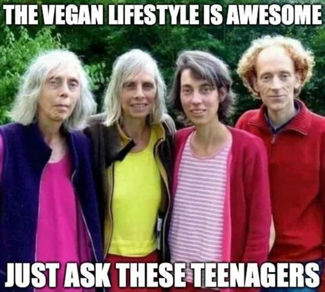 3558