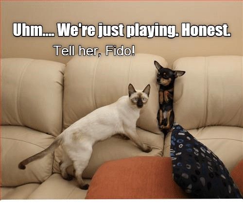 60b365d3a54134f2024b9ccd43c5223a