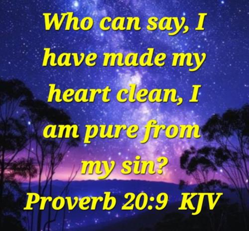 52586732-99e1-4fec-beb6-bbf47076d3f5