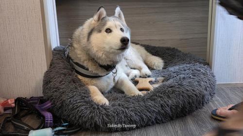 Piper doesn't do hats