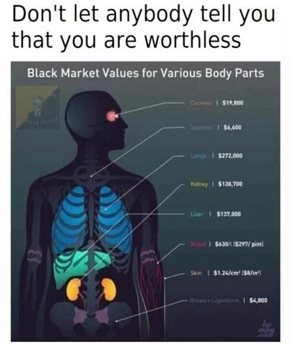 _main-qimg-a1f04158f2280fc02b07dd8a7b91c5b3