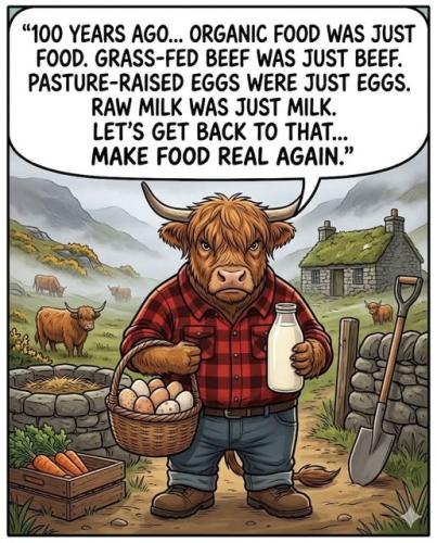 661986205_122157888848707636_1083245374111131978_n