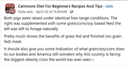 677603124_1555441532811734_3802570084625708273_n