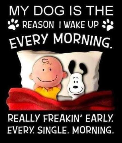 c2327e2ce350e1c80177304ca261da1b