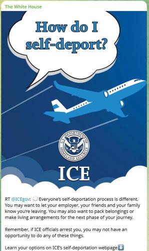 self-deport