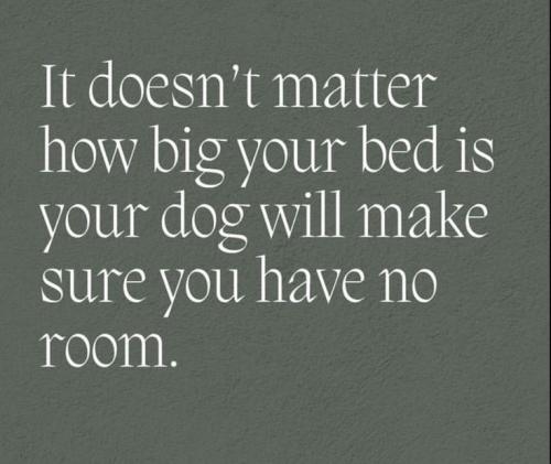 f7c741de76b22d02eed44012fc175fa3