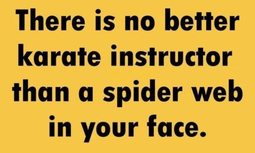 IMG_20260331_163434_909