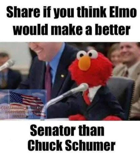 elmo-better-than-schumer