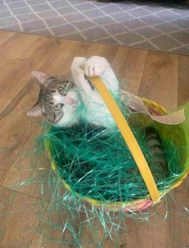 18ee2a21ac1aa6787cf21205ca98b547