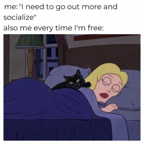 74E9BB49-437F-47CA-A5D9-20F681728B24